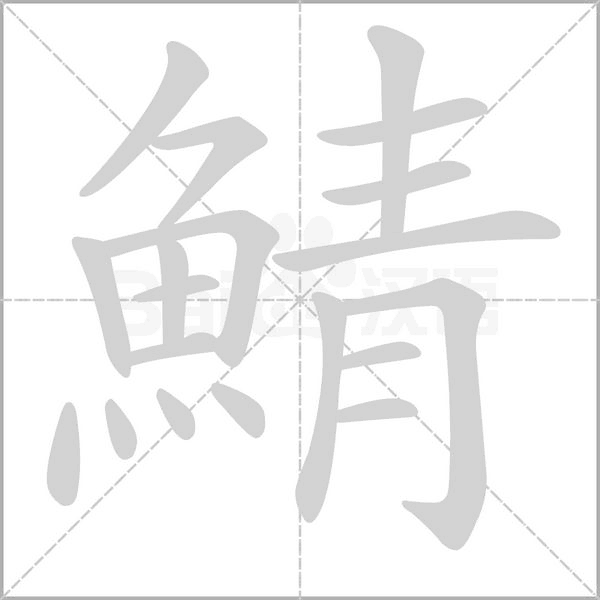 鯖的笔顺动画演示